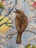 108.thumb.jpeg.b4147dbed8521c951962b153e99208f8.jpeg