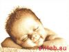 10873.thumb.jpg.f8ccba1dfbdec29b6b587da0ec6b21dd.jpg