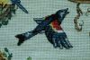 2.thumb.JPG.0f22bc272f4a9211ecb55f65c0ddc8bb.JPG