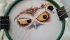 20160220_094825.thumb.jpg.3f97ca2465dee1b2760803ca1eb92adf.jpg