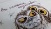 20160623_143824.thumb.jpg.57e1a1c7579ab4beecfda908c8df502a.jpg