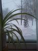 20180301_085110.jpg