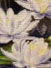 20180301_180923.thumb.jpg.d6340375279852a7c1edb0fb13cfa3e2.jpg