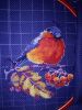 20180306_071944.thumb.jpg.fbf2920ae11bfb85891d7e0f845ea3b6.jpg