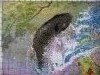 20180307_221850.jpg