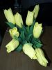 20180308_094950.thumb.jpg.b85ff1387e5ef677ce631da893bbd4e3.jpg