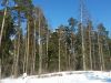 20180308_142322.thumb.jpg.0ab965112da1a941f64c3c0e15118a7e.jpg