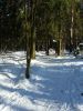 20180308_150457.thumb.jpg.f866e5d09ef4bd9475b978c59cbf3119.jpg