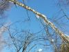 20180309_145827.thumb.jpg.4509cbab8250a3e766726bd0a73f5ce5.jpg