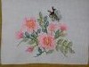 20180315_135102.jpg