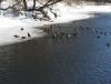 20180318_130757.thumb.jpg.a4763432db2f33e0d8961bb0ddde63ed.jpg