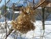 20180318_131722.thumb.jpg.8f4d3659268027f316a697cc7eeb1258.jpg