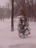 20180319_080913.jpg