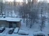 20180320_072013.thumb.jpg.24b4cdce598256c22c6339783d57daa6.jpg