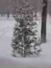 20180321_073758.jpg
