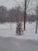 20180321_073828.jpg