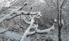 20180322_090616.thumb.jpg.b1b3e47eec7dc70adde648081ef6a6a3.jpg