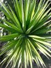 20180323_000755.thumb.jpg.e089d596bbe3852ff640ed10893dc8b7.jpg