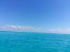 20180326_180103.thumb.jpg.667638f9ec1dd24391a16a6642d0a897.jpg