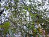 20180328_100356.thumb.jpg.dce18d14a3e839e84996ac945973f468.jpg