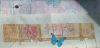 20180329_102818.thumb.jpg.ff750801fcafdb05d0a3cbdddf51ecb4.jpg
