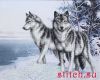 23634.thumb.jpg.3229ee49cbe870ae2680e0f8845efda5.jpg
