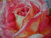 4.thumb.JPG.6ed16dd1918dc2055a2a25194a3d9179.JPG