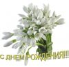 55cdadf58b6cd60813bc9ab941785dbd_vqk0akqc0oq.thumb.jpg.e3fc62550f9705e84051a7b8efc0e901.jpg