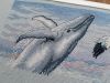 5a9bde4eb4270_Dim-35001-ArcticAntics5-2.thumb.jpg.1f33a92a024f84e27713dba0ebecb2b3.jpg