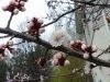 5ab8d1af3f3fa_20180326_1031211.thumb.jpg.7216df7c600d24d8636d91d798343485.jpg