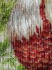 7.thumb.jpg.3b50041dcc5dc28e56c5be893e7b4369.jpg