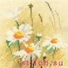 9810.thumb.jpg.268e111caa3e1242e8fe0077d47b7f80.jpg