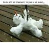 A54305CC-A84E-4D6F-A7A5-2A4C760BC1C4.thumb.jpeg.be705c3259364d0c485f6cec93c44936.jpeg
