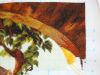 DSC00242.thumb.JPG.52ad391e1cf8718bc2844e87f24dfea4.JPG