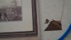 DSC00592.thumb.JPG.d5010877c509b1964a1e3c06a881f477.JPG