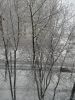 DSC02321_.thumb.jpg.e8fc9289be82904003bf6d50edb4f7ba.jpg