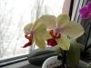 DSC02323_.thumb.jpg.1fa2728566904880ff1cf64eba9f4cd8.jpg