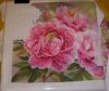 DSC08283.thumb.JPG.a356968b14c6f31cdb0960e2d579d53f.JPG
