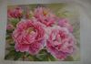 DSC08290.thumb.JPG.98ed7c1b88bafe471567797894df0a3c.JPG