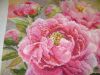 DSC08294.thumb.JPG.4be7abe19e6b163bf2468afe1b7a8959.JPG