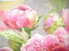 DSC08296.thumb.JPG.cfeabe8a92bbd36c093b36d8524768f6.JPG