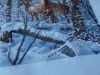 DSCN3110.thumb.JPG.e5c72f1864a9ea14de8da9d0155fbe2a.JPG