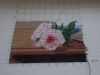DSCN3121.thumb.JPG.fb96b926f6c2c80eb38ad08ef293ae40.JPG