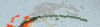 DSC_0013.thumb.JPG.ee542141427facaba14f6019b899811b.JPG