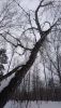 DSC_0463.thumb.JPG.ad97819021a473697114e92636ae4dc1.JPG
