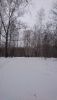 DSC_0464.thumb.JPG.c3161e10caf55310765c2735b4f32703.JPG
