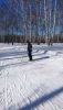 DSC_0466.thumb.JPG.8be3dba88590ad311a213ef5c92e3a42.JPG