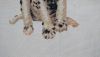 DSC_0478.thumb.JPG.ba9e0298adadf15f8ecb3491128433c4.JPG
