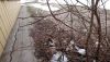 DSC_0486.thumb.JPG.44bdc9383e0083bfa3b87af7ee168301.JPG