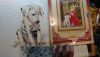 DSC_0490.thumb.JPG.eb3b646efd84350e2289cbd7e0308b20.JPG